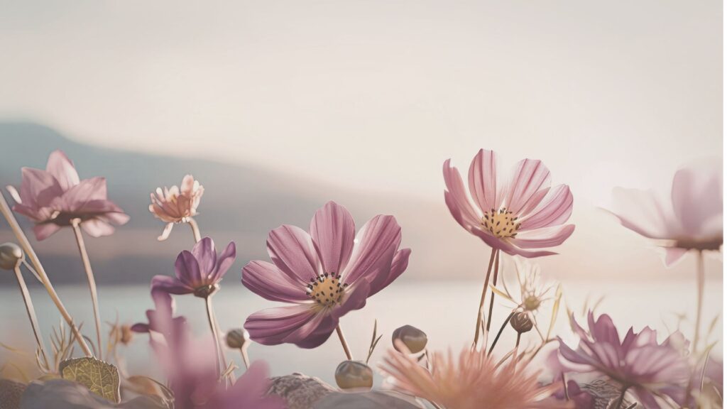 mensagem de calma com flores suaves e frase sobre deixar a vida surpreender com leveza