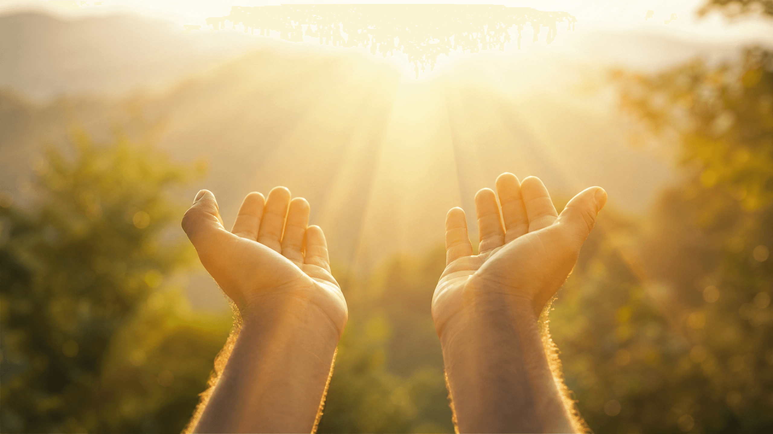 Mãos levantadas em direção à luz dourada do sol, representando louvor e gratidão a Deus no Salmo 100